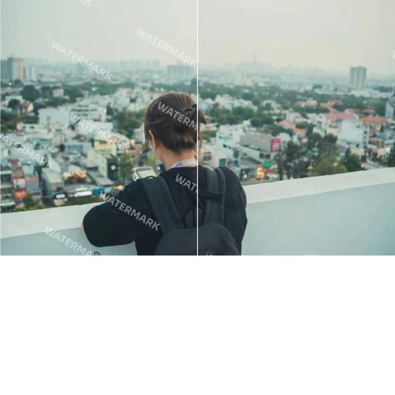 AI Remover
